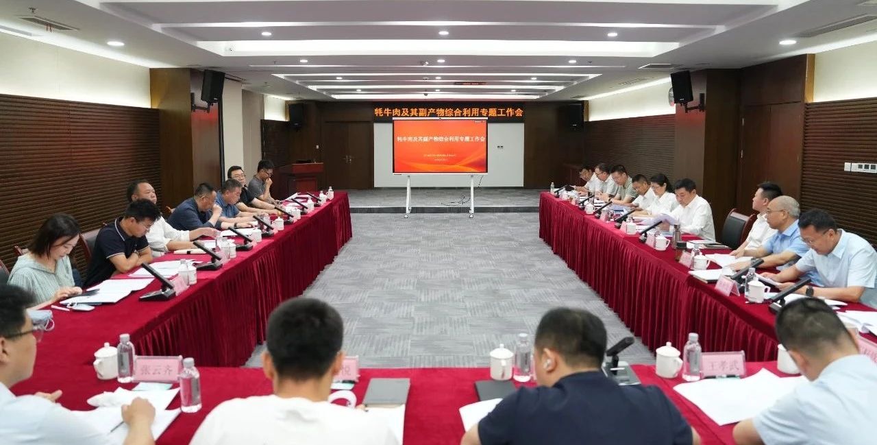 牵住牦牛产业“牛鼻子”！省国投公司科创委召开牦牛产业科技创新项目专题会